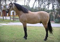 4W5A7552 (Copiar)